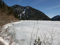 Plansee